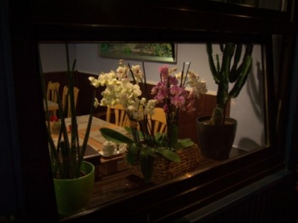 Foto: BLUE LOTUS Aachen